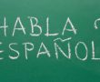 Spanish – Level 1